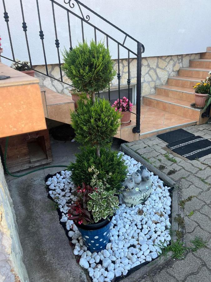 Rege Apartman Alsóörs 外观 照片